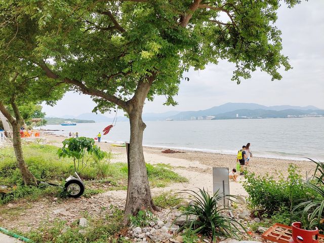 東平洲環島遊