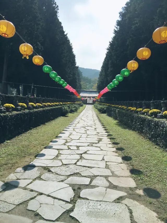 제주도 가볼만한 곳 관음사