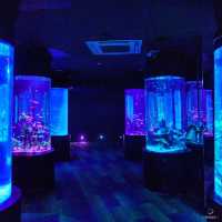 ผจญภัยโลกใต้น้ำ “Under Water World” พัทยา!