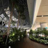 ✈️ Changi Airport mini garden