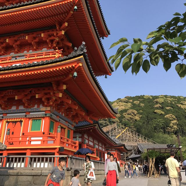 日本京都 ｜ 清水寺