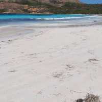 Lucky Bay Esperance WA