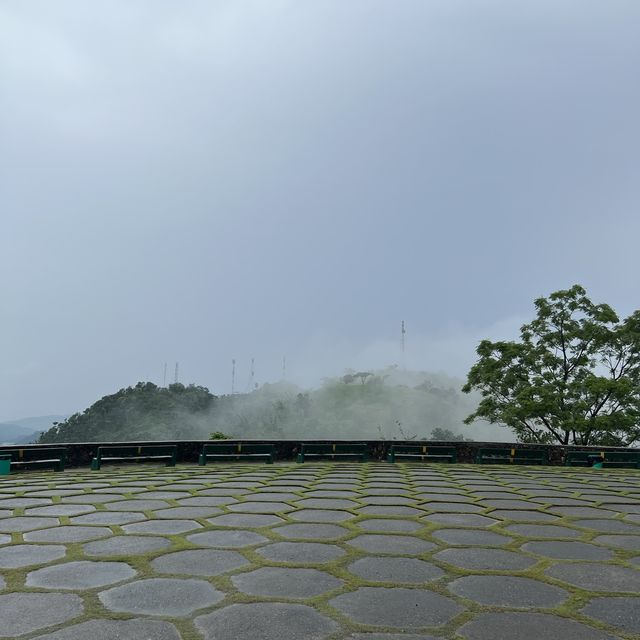 세부의 전경을 한눈에 볼 수 있는 탑스 언덕 전망대