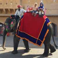 the gigantic Amer Fort