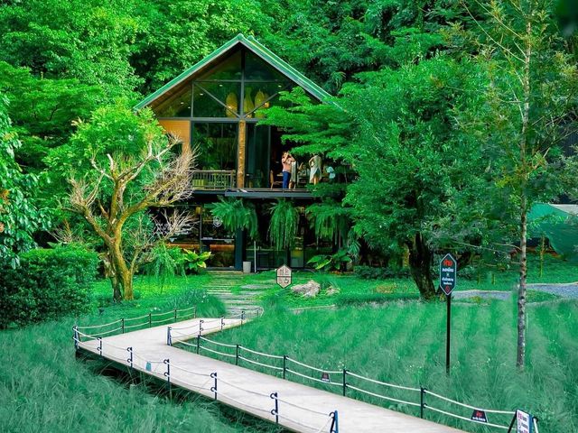 คาเฟ่ลับ ในป่า In to the forest