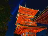 『清水寺』京都の紅葉『夜間特別拝観』