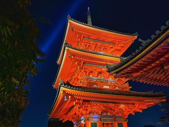 『清水寺』京都の紅葉『夜間特別拝観』