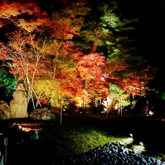 嵐山宝厳院ライトアップ