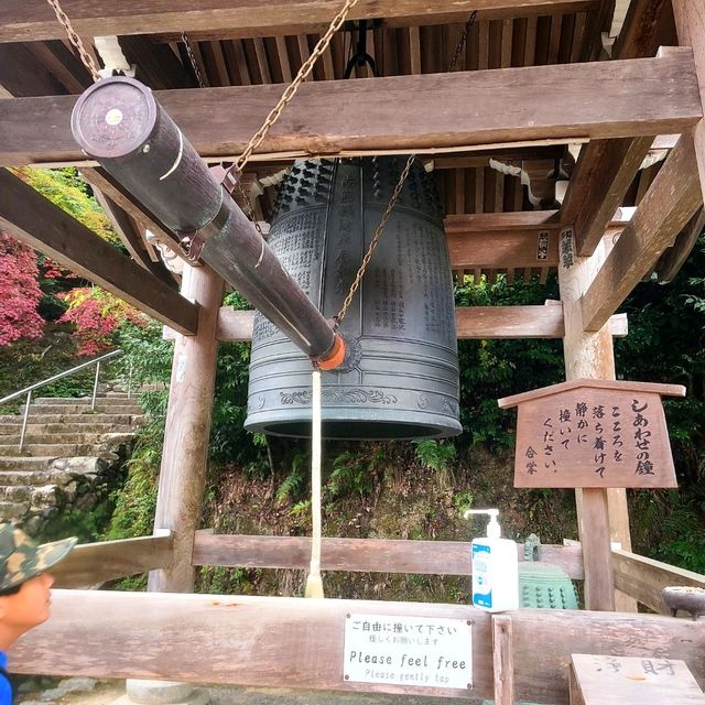 京都の風情がぎゅっと凝縮【二尊院】✨