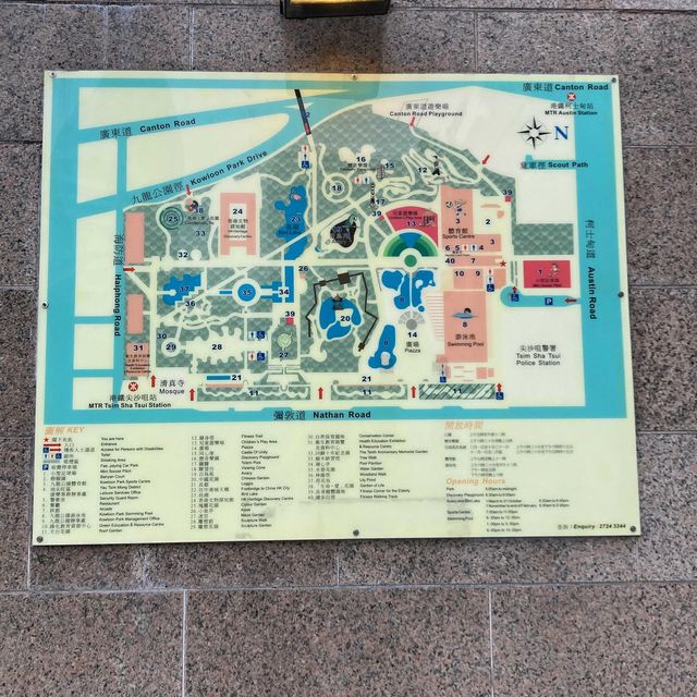 免費～～睇不同國家的雀鳥🦜🦆part 1