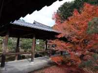 東福寺 · 紅葉
