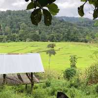 Chiang Dao - Mueang Khong, Thailand