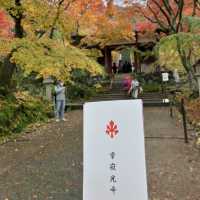 盛茂紅葉中體驗靜謐境界 – 常寂光寺