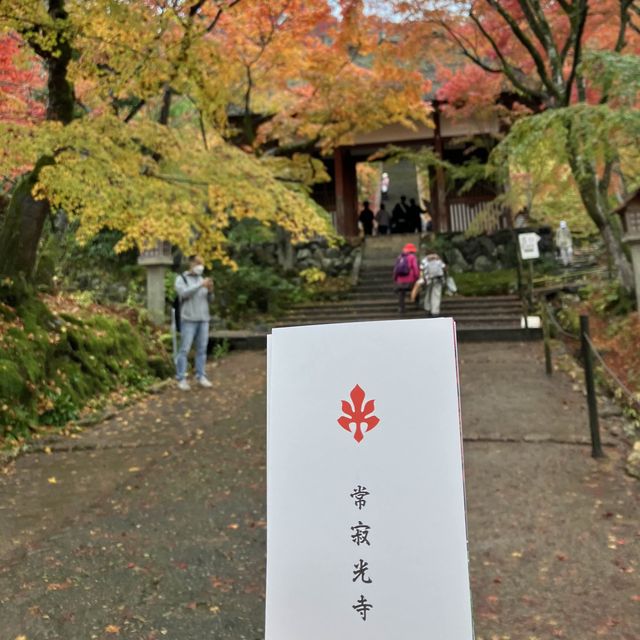 盛茂紅葉中體驗靜謐境界 – 常寂光寺