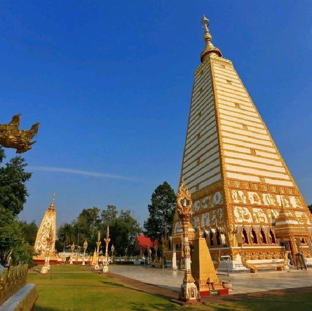 วัดพระธาตุหนองบัว