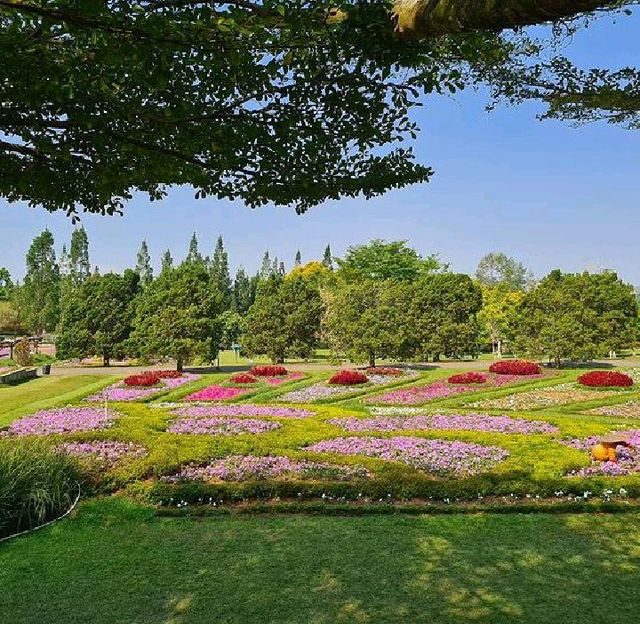 ARCHIPELAGO FLOWER GARDEN, CIANJUR