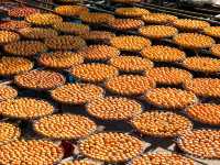 新竹景點｜味衛佳柿餅觀光農場｜金黃飽滿的柿子季節來了