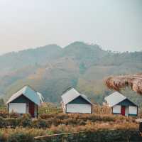 Glamping บนดอยกลางไร่ชาสุดปัง
