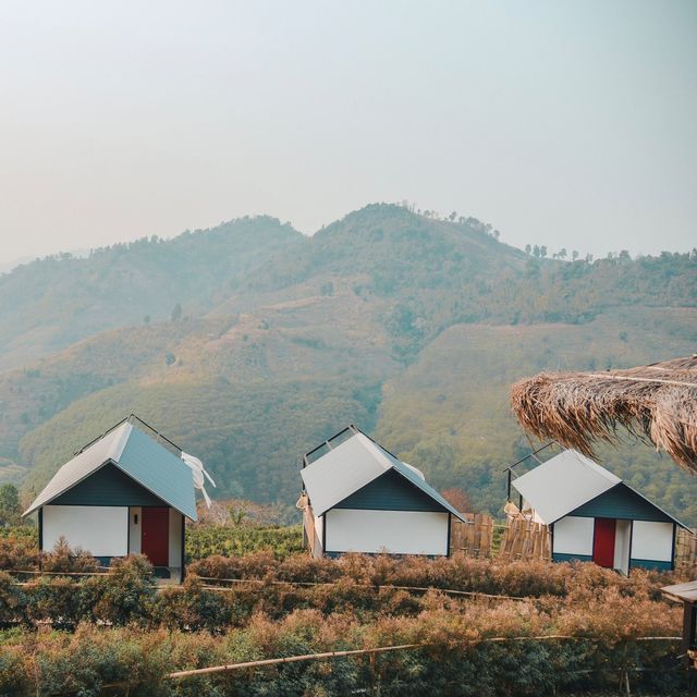 Glamping บนดอยกลางไร่ชาสุดปัง