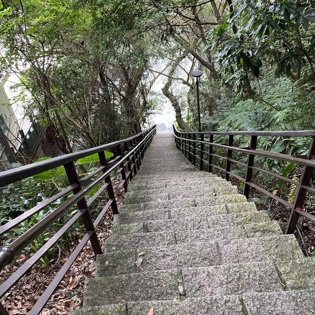 漫步四獸山 環繞大台北