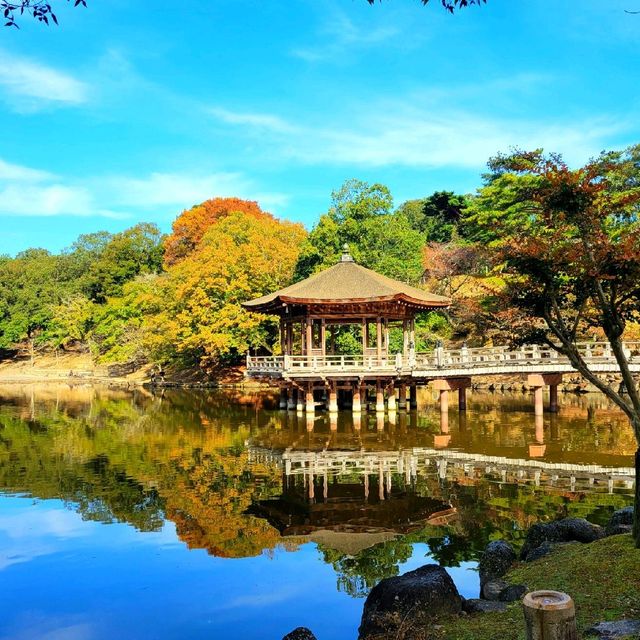 池に浮かぶお堂【浮見堂】