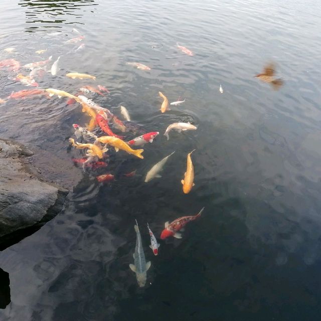 靚靚休閒及野餐好地方