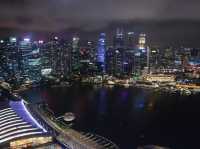 Marina Bay Sands SkyPark Observation Deck