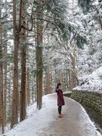 The Snow Monkeys of Jigokudani