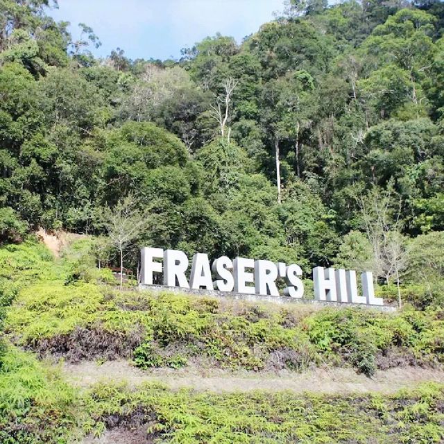 Fraser Hill