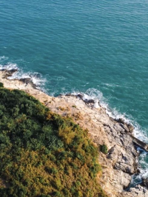 香港行山路徑｜玉桂山🧗🏻‍♀️