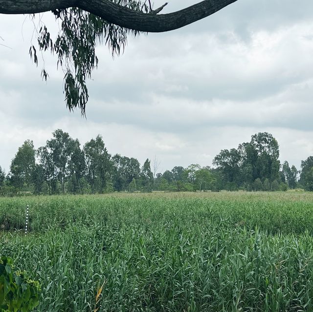 拍拖勝地 南生圍