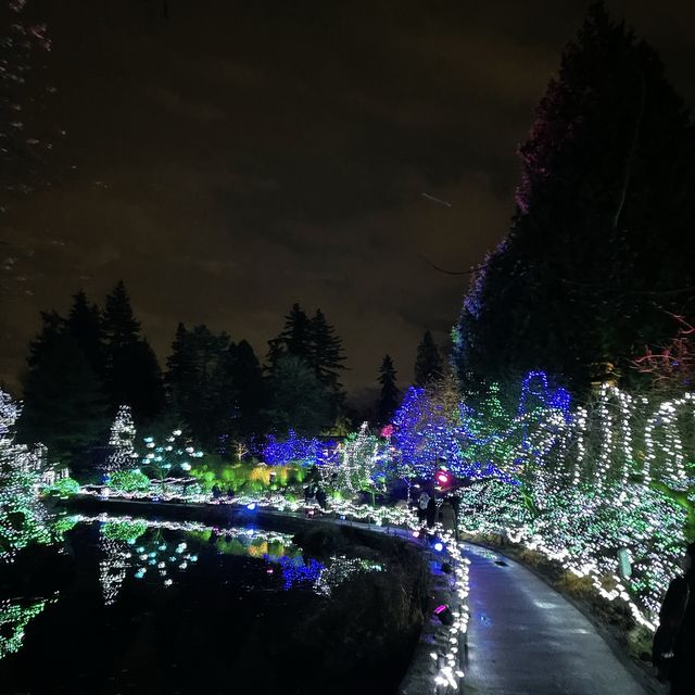 Christmas lights festival at the botanical gardens 