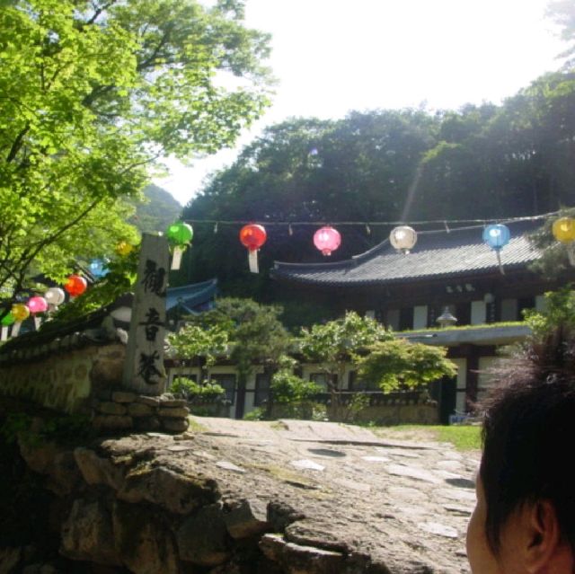 대전 봄여행 계룡산