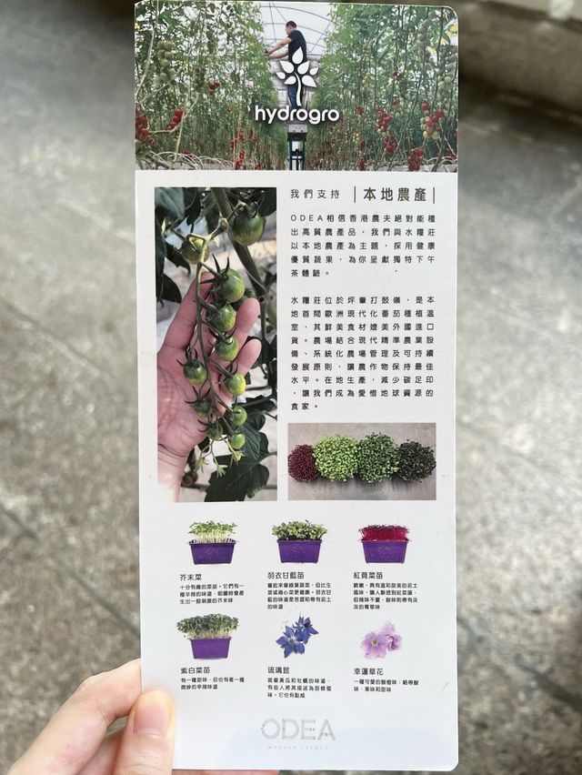 打卡一流靚景下午茶