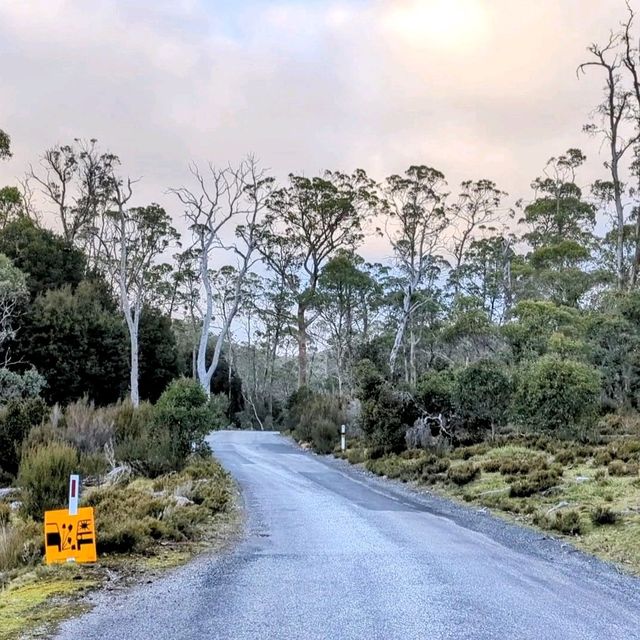 Hitchhiking in Tasmania
