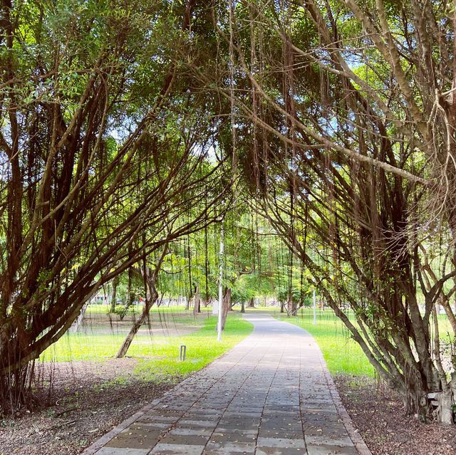 超大公園綠地｜大義公園｜裝置藝術好拍好可愛