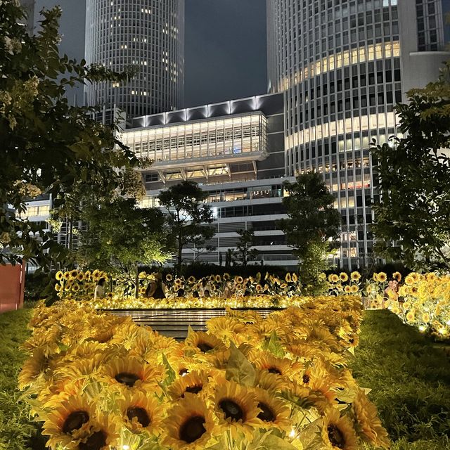 名古屋　大名古屋ビルヂングの夜のひまわり畑