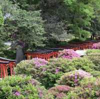 Nezu Shrine 