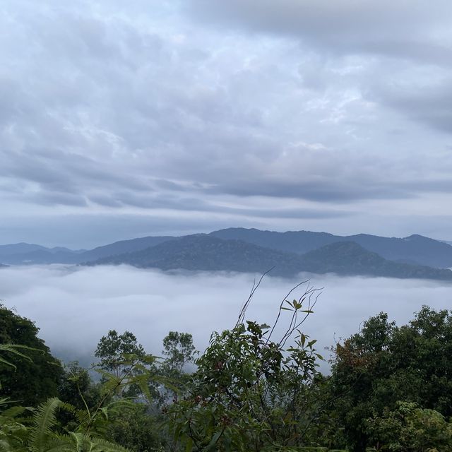 Hiking di Bukit Panorama Sungai Lembing