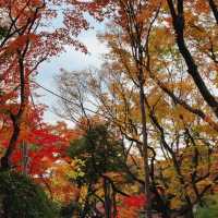 Autumn Foliage at Gilsang Temple