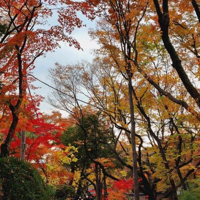 Autumn Foliage at Gilsang Temple