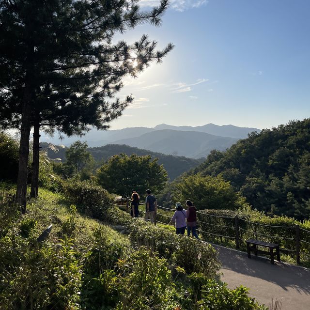 포천 아트밸리 💚 주말 여행지