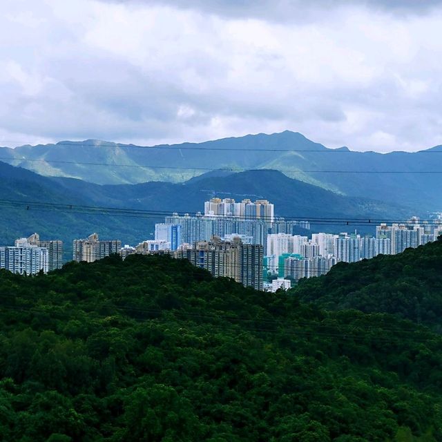社山