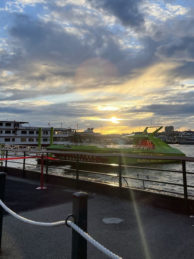 Circle Line Sightseeing Cruises 🍁 뉴욕 단풍 명소