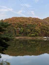 가을에는 글램핑이쥐 ! 용인 글램핑장, 메이폴릭 🍂🔥