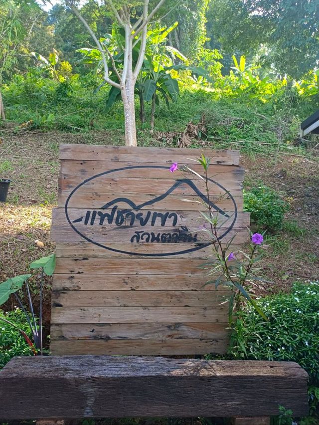 แฟชมเขา สวนตาวิน