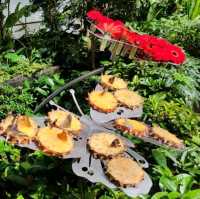 Great environment at Butterfly Garden 