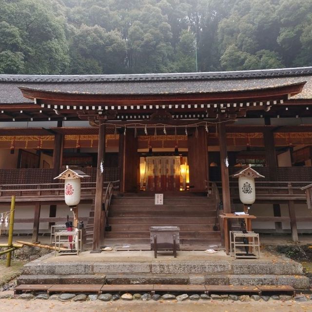 兎に縁のある神社　世界遺産　宇治上神社