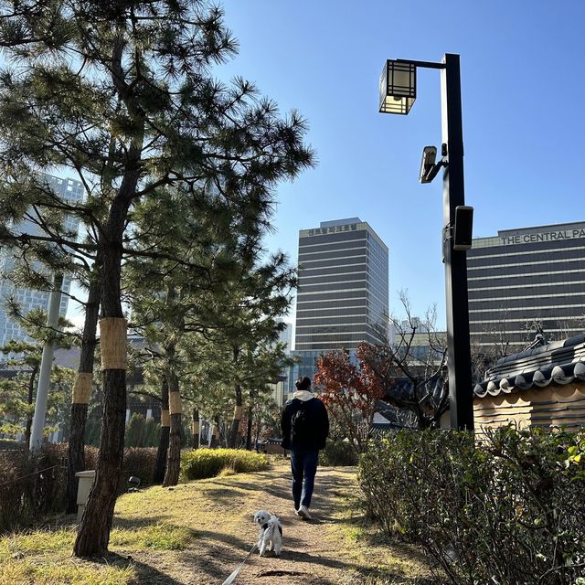 송도 센트럴파크 ✨