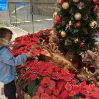 《🦖12隻恐龍過聖誕 ～ 🦕Dinosaur Christmas🎄@Harbour North》